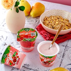 Йогурт с пищевкусовым компонентом  Гранат-Малина